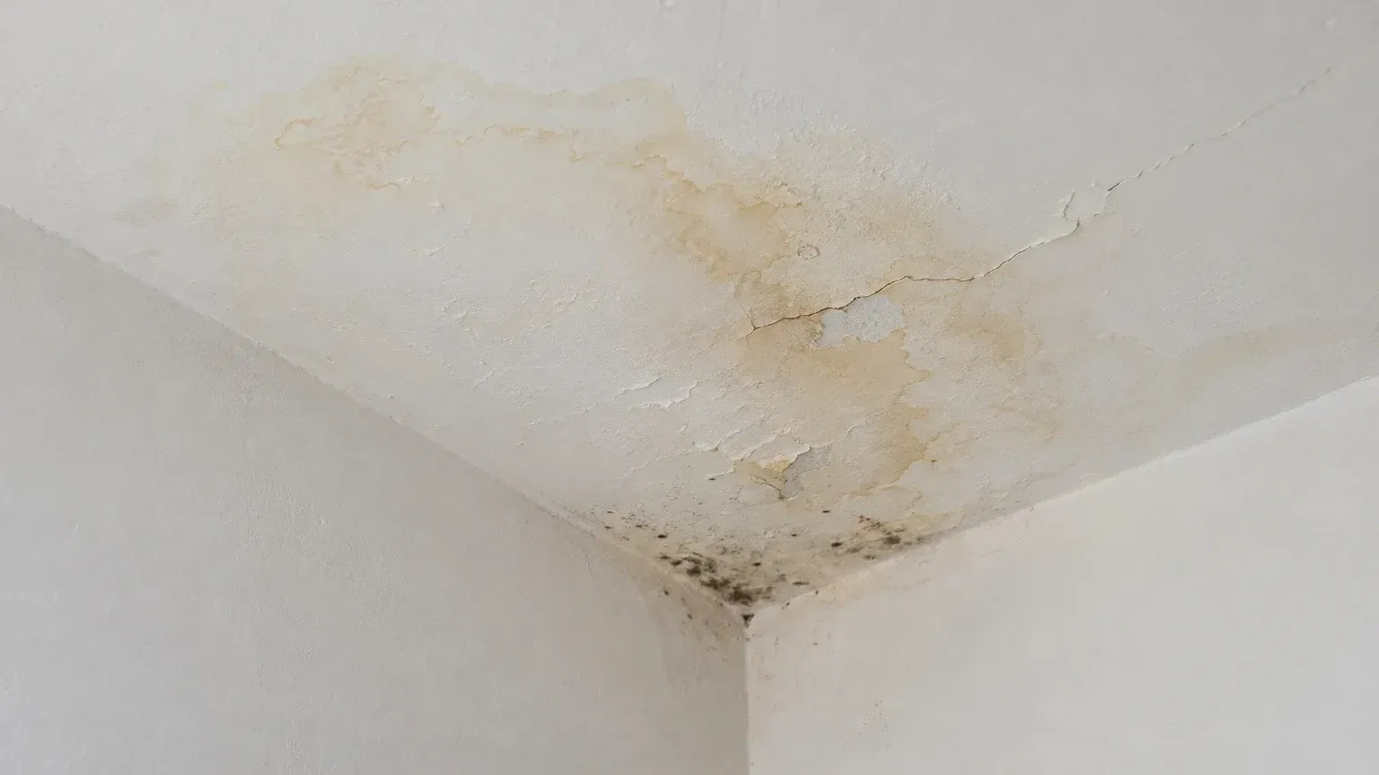Humedad en el techo de un último piso